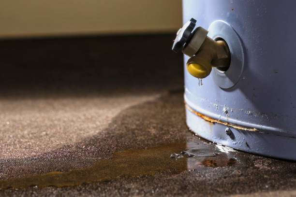 Best Flood damage cleanup  in Greenwood, SC