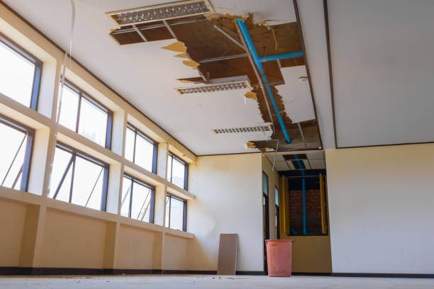 Best Ceiling water damage repair  in Greenwood, SC