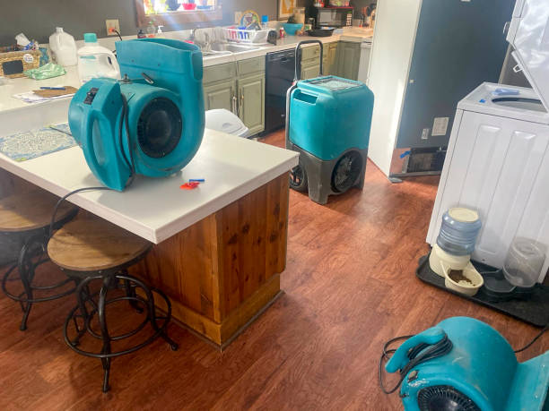 Carpet water damage restoration in Greenwood, SC