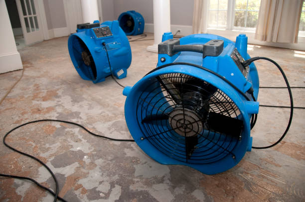 Best 24-hour water damage restoration  in Greenwood, SC