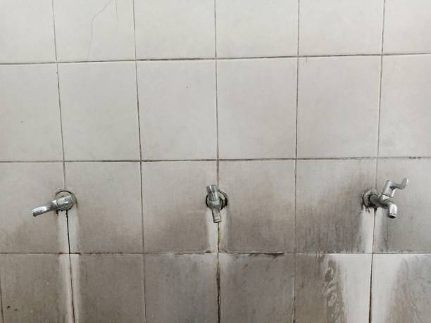 Best Water damage cleanup near me  in Greenwood, SC