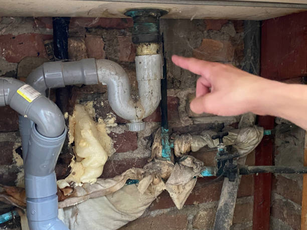 Best Carpet water damage restoration  in Greenwood, SC