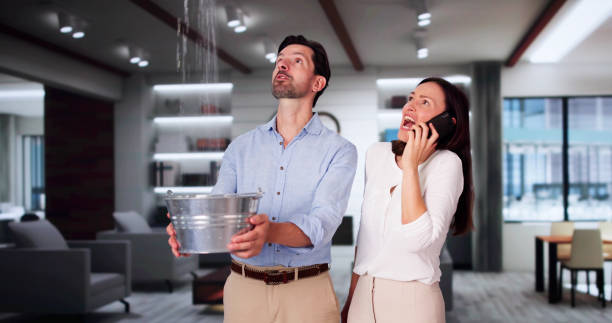 Trusted Greenwood, SC Water damage restoration Experts