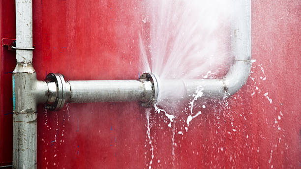 Best Mold removal after water damage  in Greenwood, SC